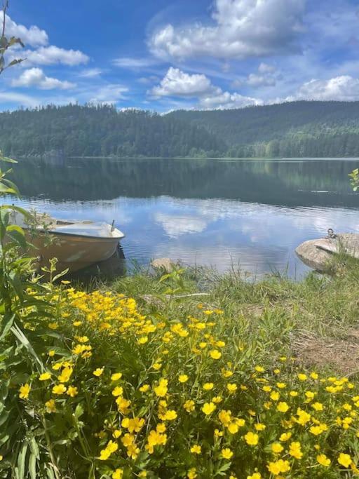 Sjarmerende Hus I Vennesla Екстер'єр фото
