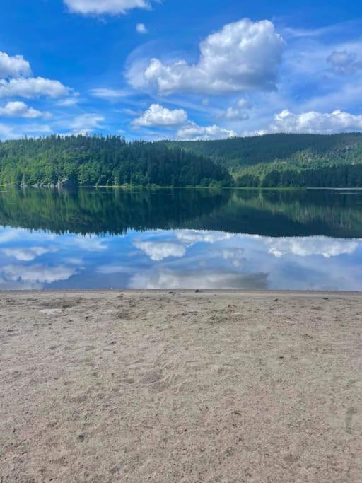 Sjarmerende Hus I Vennesla Екстер'єр фото